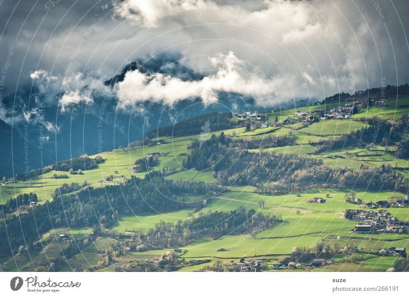 Looking into the valley Summer Mountain Environment Nature Landscape Elements Sky Clouds Climate Beautiful weather Tree Meadow Forest Alps Exceptional Green