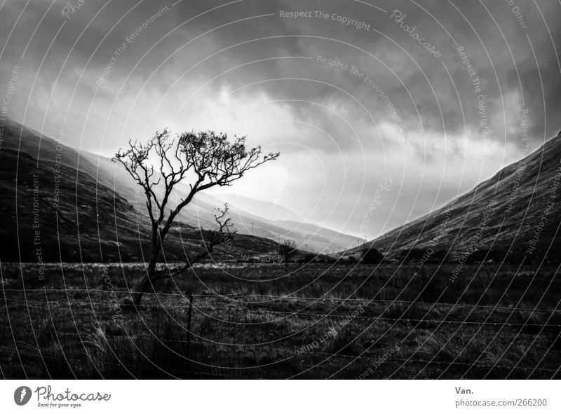 unidentified light Landscape Plant Sky Clouds Sun Tree Grass Meadow Hill Mountain Threat Cold Gray Black White Fence Black & white photo Exterior shot Deserted