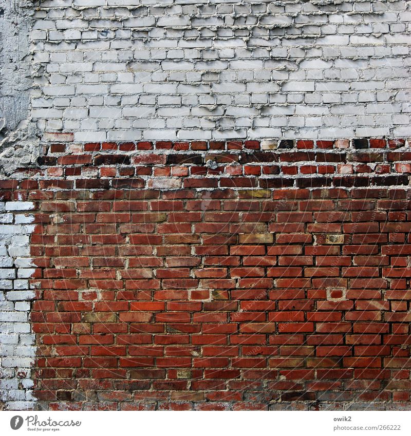 No one had any intention Manmade structures Building Architecture Wall (barrier) Wall (building) Facade Brick Brick wall Brick facade Stone Stand Old Esthetic