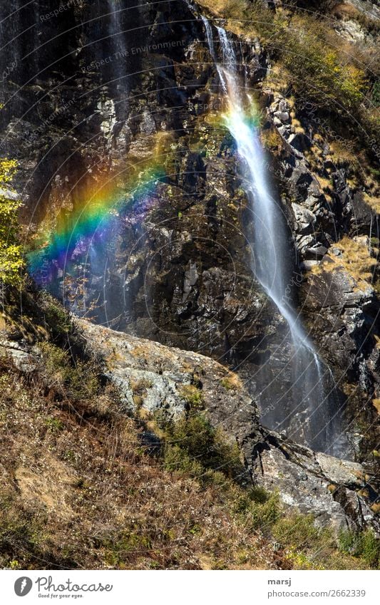 Nature can create the best play of colours. Autumn Rainbow Waterfall Wet Natural Multicoloured Flow Light (Natural Phenomenon) Refraction Refreshment Life Force