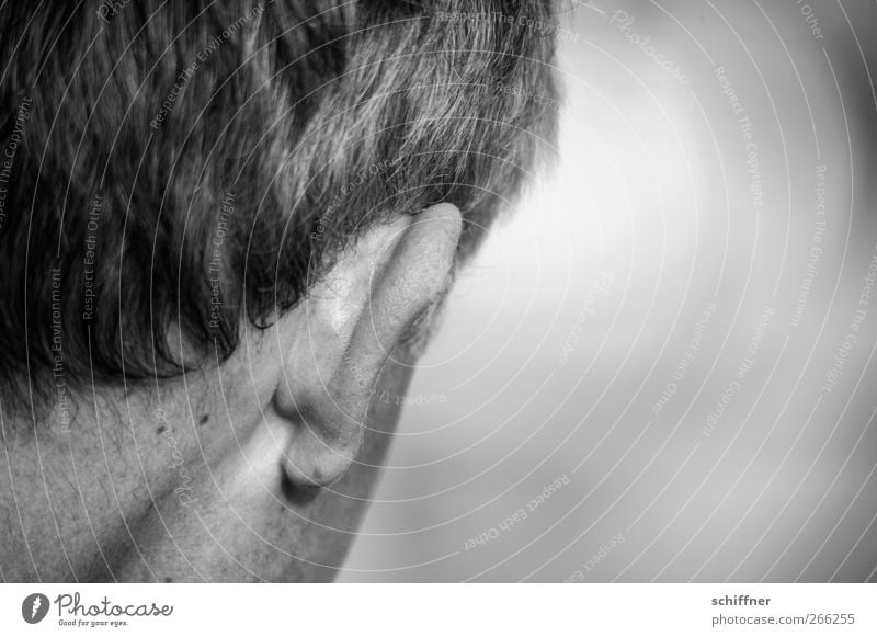 Listen up! Human being Masculine Man Adults Skin Hair and hairstyles Ear Fear Listening Neck Rear view Back of the head Mole Black & white photo Exterior shot