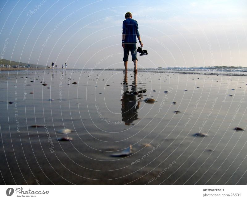 Walkin' down the beach Netherlands Beach Man Surf Mussel Loneliness Think Chucks Sand Sky