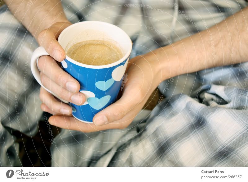 blue coffee Masculine Hand 1 Human being To hold on Drinking Fluid Hot Wet Blue Coffee Cup Porcelain Heart Hair Pyjama Morning Beverage Hot drink Warmth