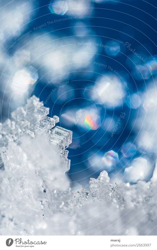 Crystal with colorful reflections Ice Frost Ice crystal Illuminate Exceptional Blue Prismatic colors Uniqueness Transience Enchanting Dream world Winter