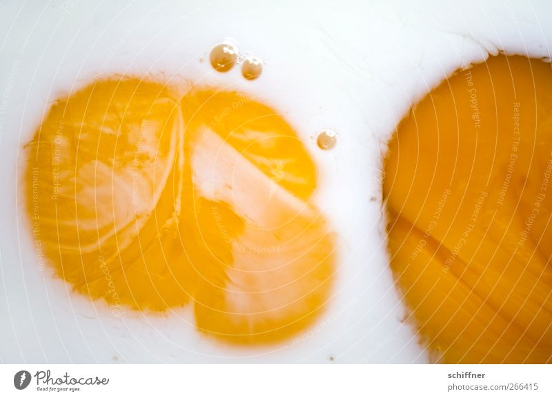 Rolling Eggs Food Nutrition Yellow White Yolk Round Background picture Structures and shapes Close-up Detail Deserted Fried egg sunny-side up