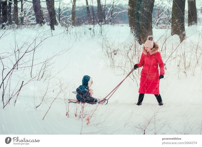 Woman pulling sled with her little daughter on wintery day Lifestyle Joy Happy Winter Snow Winter vacation Human being Child Baby Toddler Girl Young woman