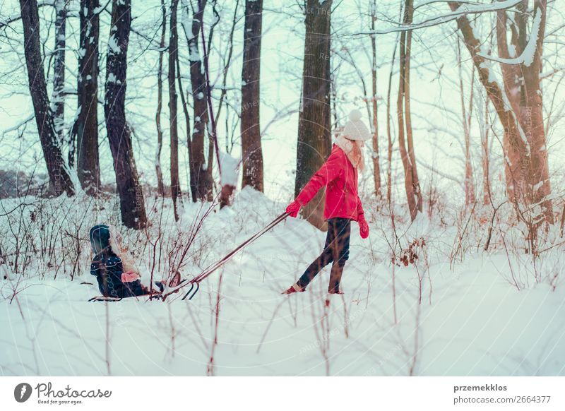 Teenage girl pulling sled with her little sister through forest Lifestyle Joy Happy Winter Snow Winter vacation Human being Child Toddler Girl Young woman