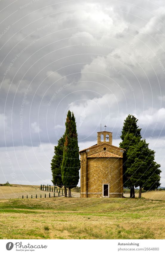 small Tuscan chapel Environment Nature Landscape Plant Sky Clouds Storm clouds Horizon Weather Bad weather Tree Hill Siena Tuscany Italy