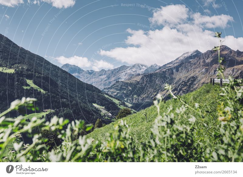 South Tyrolean Alps | Transalp Hiking Climbing Mountaineering Nature Landscape Sky Clouds Sun Summer Beautiful weather Flower Meadow Infinity Sustainability