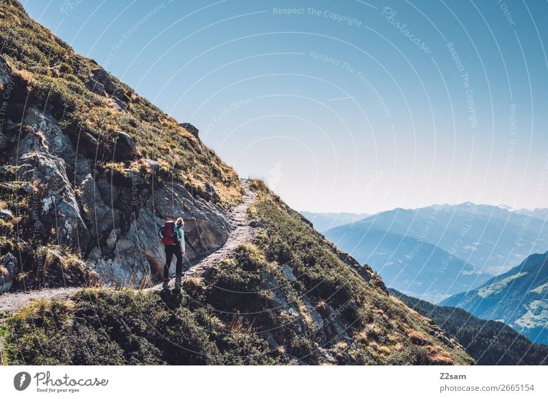 Ascent to Hirzer in South Tyrol | Alpine crossing E5 Mountain Hiking Climbing Mountaineering Nature Landscape Cloudless sky Summer Beautiful weather Alps Sports