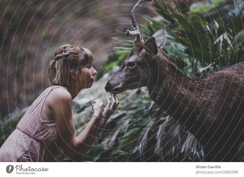 A Young Beautiful Young Woman Feeding a Deer Lifestyle Elegant Style Design Exotic Human being Feminine Young woman Youth (Young adults) Adults Plant Forest