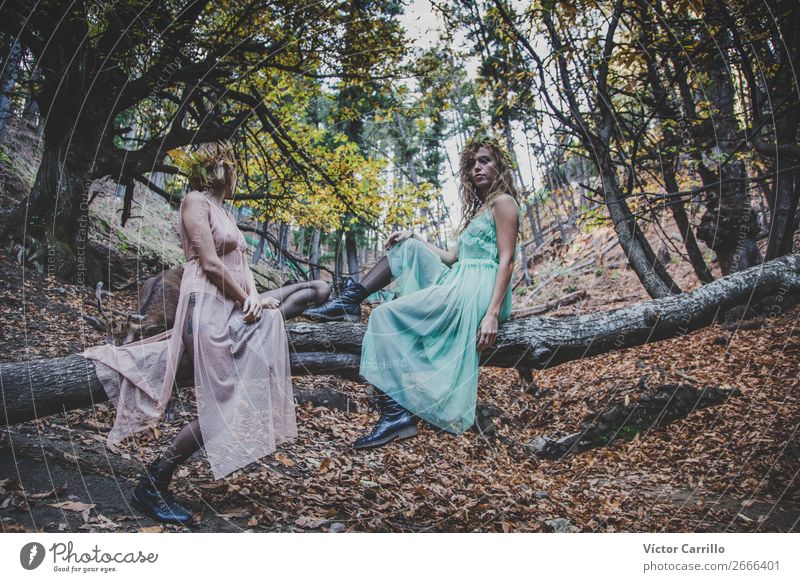 A Young Couple of Women in the woods Lifestyle Elegant Style Human being Feminine Young woman Youth (Young adults) 2 18 - 30 years Adults Environment Nature