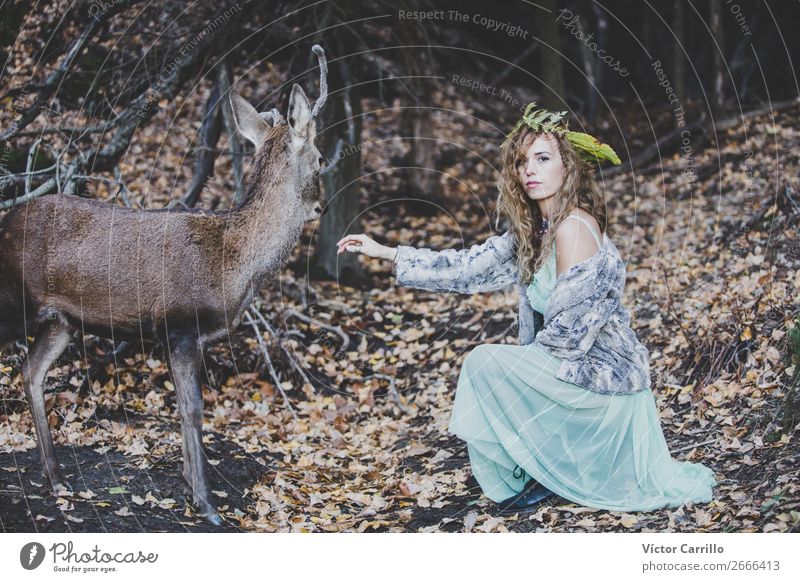 A girls and a deer in the woods Lifestyle Elegant Beautiful Hair and hairstyles Human being Feminine Young woman Youth (Young adults) Woman Adults 18 - 30 years