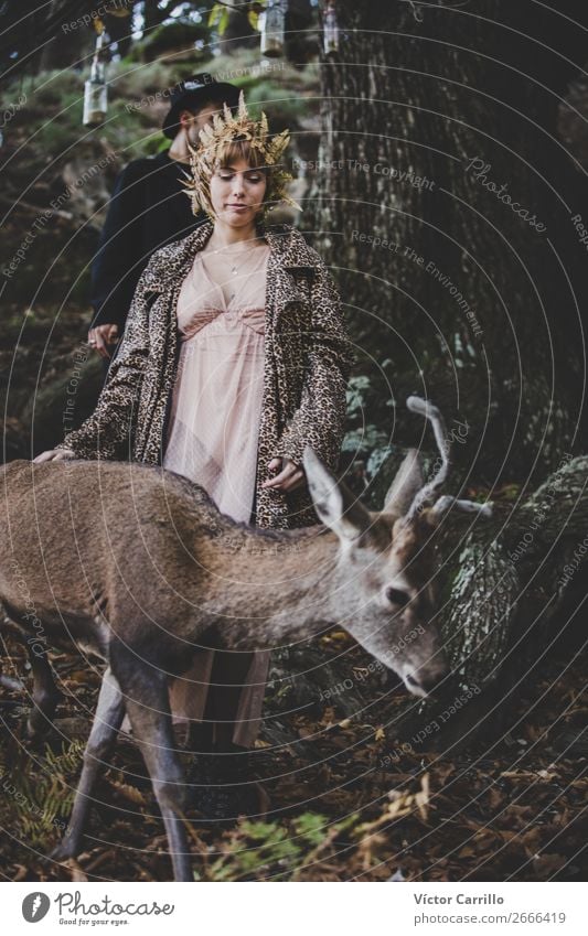 A girl and a deer in an Editorial Folky Session in the woods Lifestyle Elegant Style Design Beautiful Music Human being Feminine 2 Environment Nature Tree