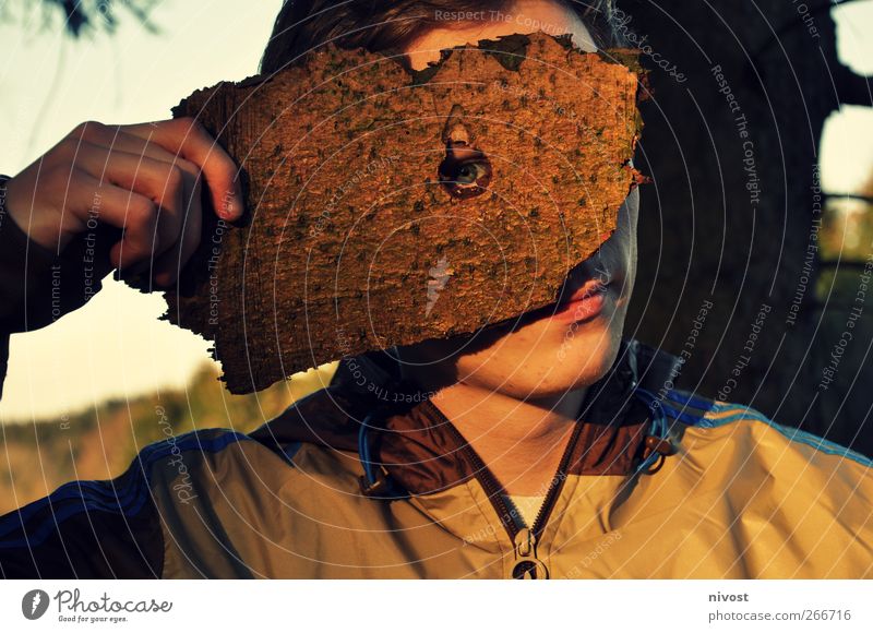 knothole view Human being Masculine Young man Youth (Young adults) Man Adults Eyes 1 18 - 30 years Nature Tree Protective clothing Mask Short-haired Wood