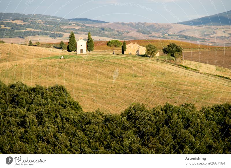 Chapel in the distance I Environment Nature Landscape Plant Sky Horizon Summer Tree Grass Meadow Field Forest Hill Siena Tuscany Italy
