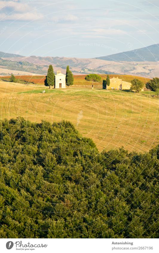 Chapel in the distance II Environment Nature Landscape Sky Clouds Horizon Summer Weather Plant Tree Grass Field Forest Hill Siena Tuscany Italy