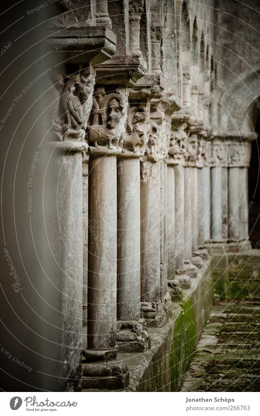 portico Spain Gray Holy Building Architecture Column Colonnades Moss Ornamental Stone Monastery Cathedral Manmade structures Aligning Old Derelict Masonry Calm