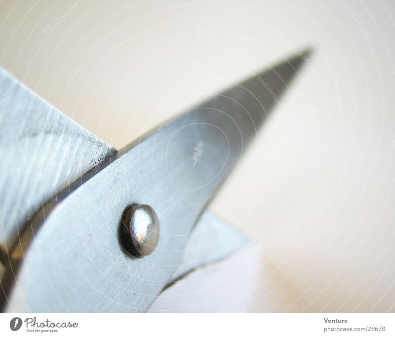 scissors Cut Tool Scissors Haircut Metal Close-up Macro (Extreme close-up) Perspective Blade Sharp thing