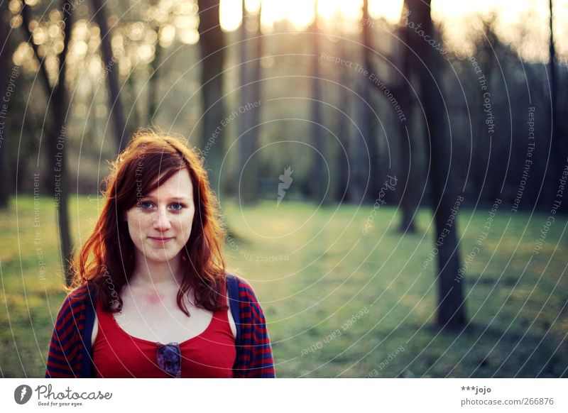 in the hair in the evening. Human being Feminine Young woman Youth (Young adults) Woman Adults 1 18 - 30 years Tree Park Forest Smiling Dusk Nature Red-haired