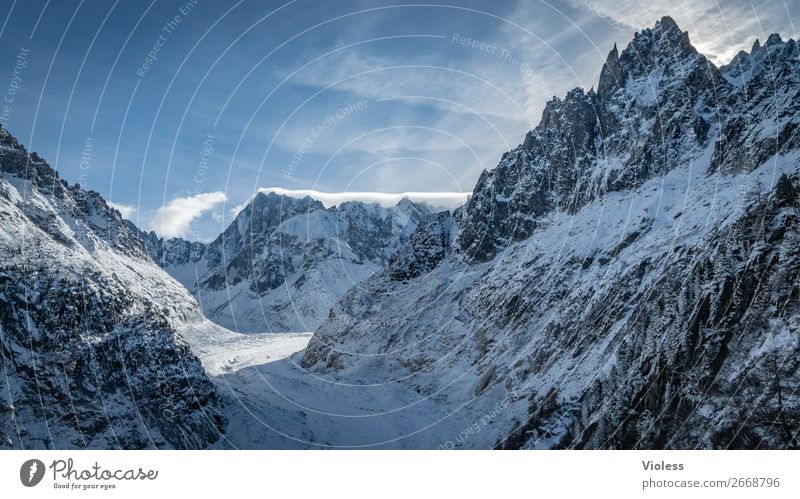 Snow covered mountains Aiguilles de Chamonix Valley Auvergne alpinism Colour photo Silhouette Blue Forest Mont Blanc Swiss stone pine Mountain range