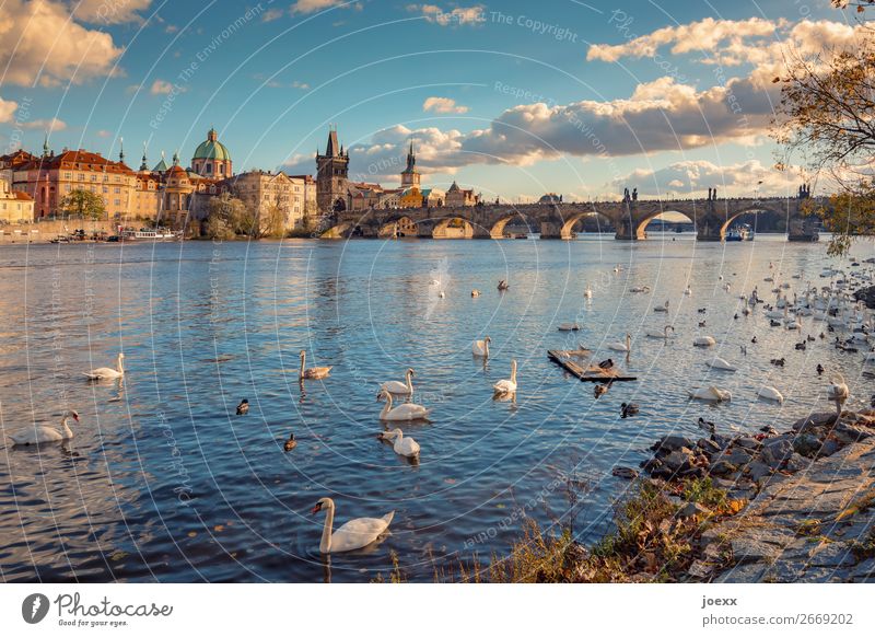 View of Prague Old Town with Charles Bridge Wide angle Deep depth of field Exterior shot Colour photo Neo baroque Strakova Academy Idyll Horizon Multicoloured