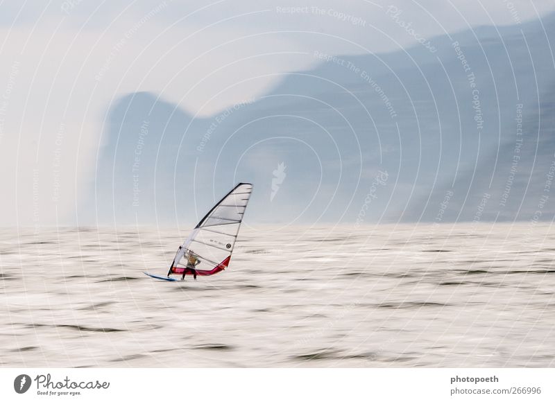 Windsurfers in Torbole, Lake Garda 01 Sports Aquatics Sportsperson Surfboard Nature Water Horizon Alps Mountain Waves Lakeside Speed Movement Motion blur