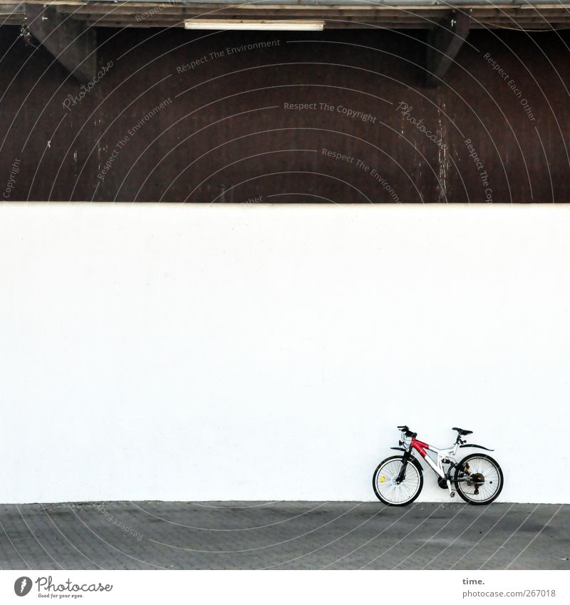 4eyes | Rennstall Bicycle Manmade structures Building Hall Wall (barrier) Wall (building) Facade Stand Sharp-edged Bright Modern Motive Roadworthy Colour photo