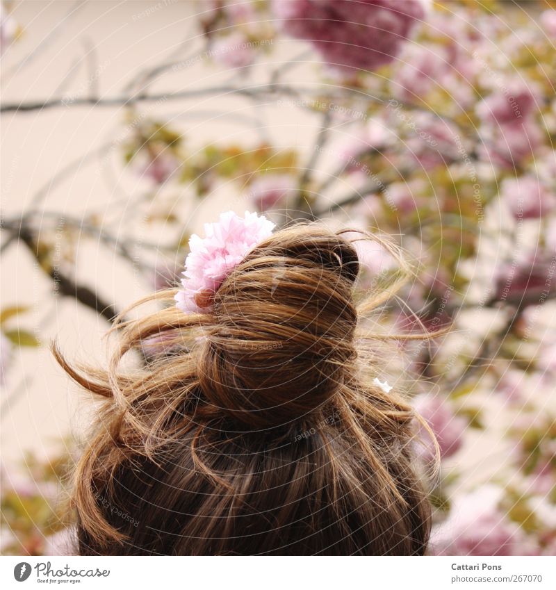 pink queen Environment Nature Plant Spring Summer Tree Flower Leaf Blossom Accessory Jewellery Hair accessories Hair and hairstyles Brunette Braids Fresh Bright