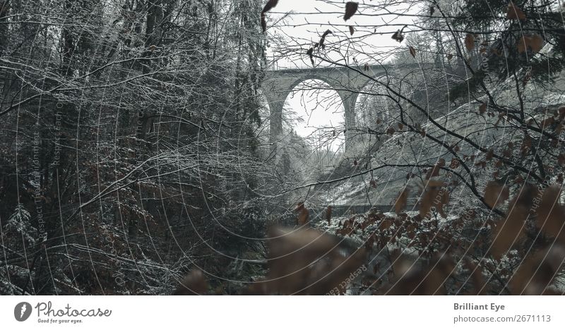 Sitterbrücke in a winter morning dress Vacation & Travel Winter Nature Landscape Snow Tree Leaf Forest Bridge Manmade structures Architecture Cold Cuddly Warmth