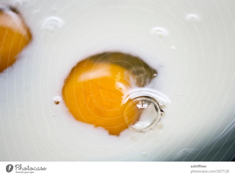 Rolling Eggs II Food Nutrition Yellow White Yolk Air bubble Round Close-up Detail Deserted Fried egg sunny-side up Albumin