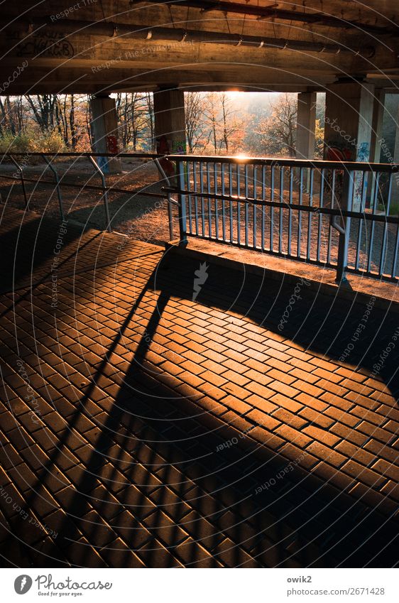 under the motorway Manmade structures Bridge Handrail Bridge pier Concrete Metal Illuminate Firm Under Town Highway Colour photo Exterior shot Pattern