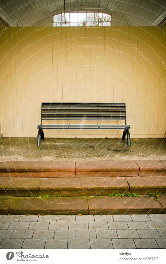 Live on stage... Stairs Window Clean Loneliness Symmetry Town Above Bench Shelter Seating Paving stone Wall (building) 1 Vaulted arch Weed Waiting room Deserted
