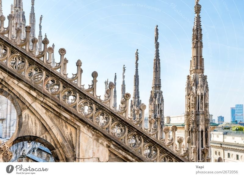 Architecture on roof of Duomo cathedral Beautiful Vacation & Travel Tourism Sightseeing City trip Decoration Art Sculpture Sky Sunlight Town Church Dome Palace