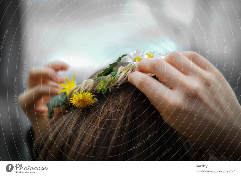 spring crown Hair and hairstyles Feminine Hand 1 Human being Blossom Foliage plant Esthetic Beautiful Brown Yellow Gray Green Moody Spring fever Uniqueness