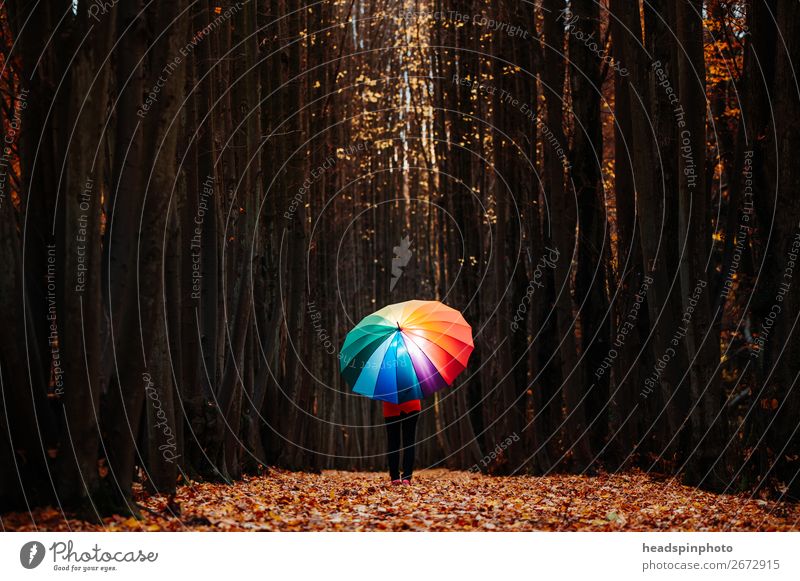 glowing rainbow umbrella in the dark autumn forest Feminine 1 Human being Landscape Autumn Tree Leaf Forest Hiking Brown Yellow Gold Joy Happy Umbrella