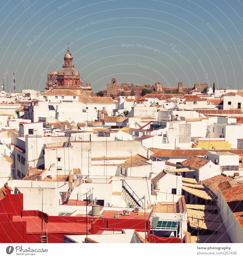 Carmona [XLI] Sightseeing Andalucia Spain Village Small Town House (Residential Structure) Church Roof Antenna White Vantage point Lookout tower Bird's-eye view