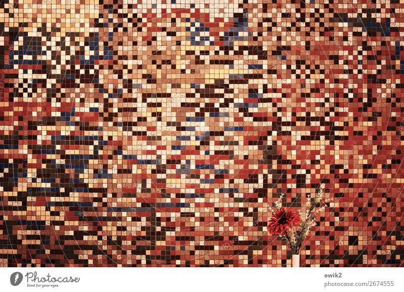 search picture Interior design Decoration Mensa Dining hall Art Work of art Flower Wall (building) Mosaic Retro Crazy Wild Brown Multicoloured Orange Pink Red