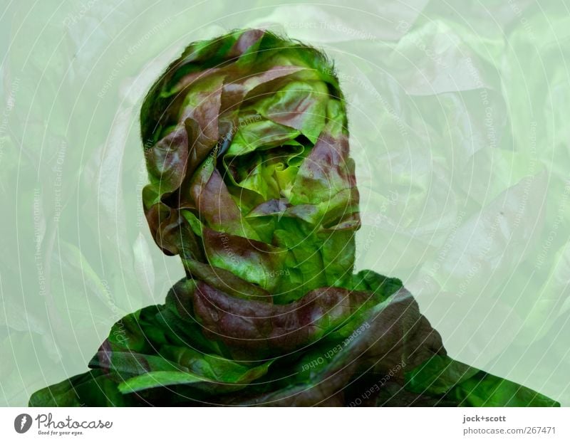 head of lettuce Lettuce Nutrition Head Art Think Exceptional Fresh Healthy Delicious naturally Green Double exposure Surrealism Comic Illusion Fantasy
