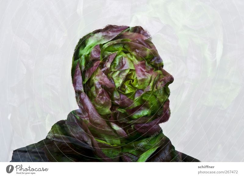 head of lettuce Human being Masculine Man Adults Head Nose 1 Green Nutrition Organic produce Healthy Eating Exceptional Fantastic Whimsical Lettuce Salad