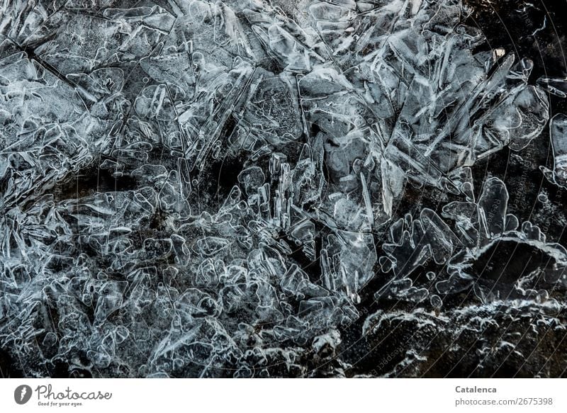 *800* Spikes and spikes. Ice of a frozen puddle Winter Frost Structures and shapes Ice crystal Cold Moody Design Nature Environment Frozen Colour photo