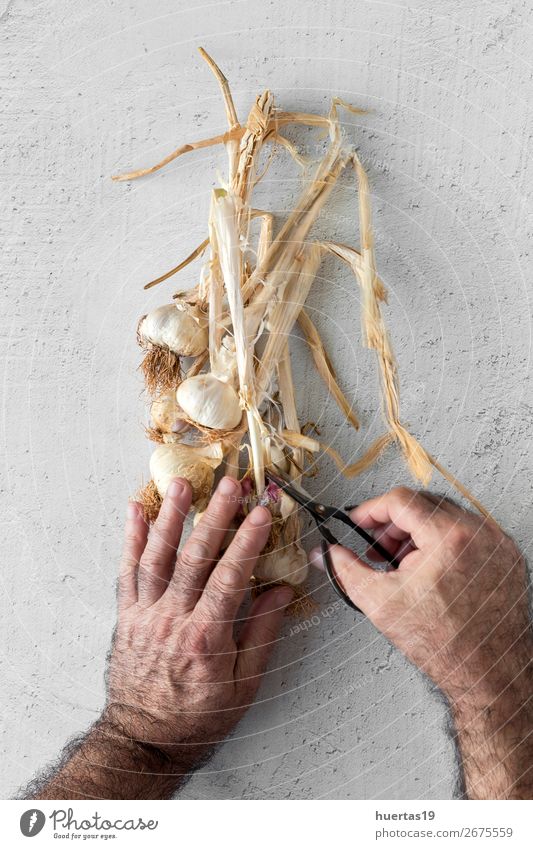 Bouquet of fresh purple garlic Food Vegetable Herbs and spices Human being Man Adults Head 1 45 - 60 years Art Fresh Natural Above White Garlic background