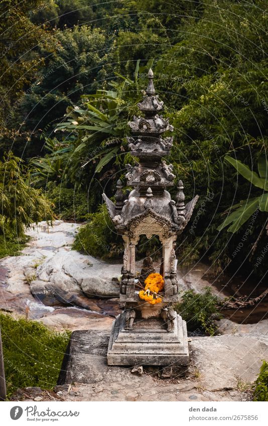 Wat Pha Lat Temple Chiang Mai Work of art Sculpture Landscape Palm tree Park Virgin forest Hill Rock Brook River Waterfall Chiangmai Calm Wisdom Buddhism