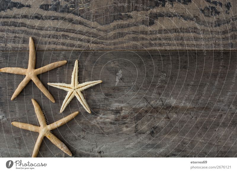 Marine items on wooden background. Starfish Marine animal Animal Life Style Beach Nautical Wood Summer Background picture Design element Nature Consistency