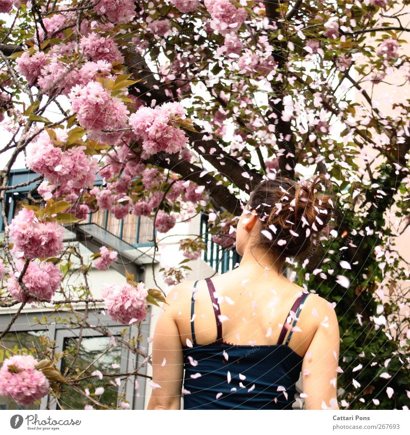Spring Storm Feminine Young woman Youth (Young adults) 1 Human being Plant Tree Leaf Blossom Cloth Top Brunette Chignon Braids Movement Stand Beautiful