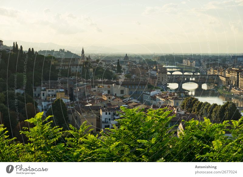 the bridges of Florence Environment Nature Landscape Sky Clouds Horizon Sunrise Sunset Summer Weather Beautiful weather Plant Tree Leaf Hill River Arno Italy