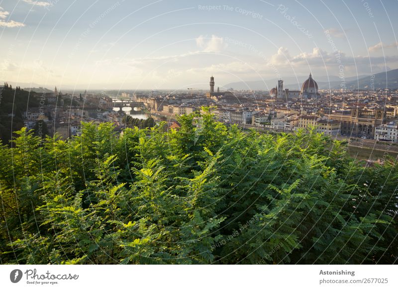 View of Florence Environment Nature Landscape Sky Horizon Sunrise Sunset Plant Tree Leaf River Arno Italy Town Downtown Old town House (Residential Structure)