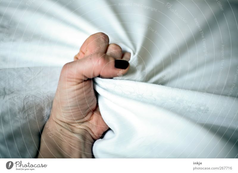 pent-up anger II Life Hand Fist 1 Human being Sheet Duvet To hold on Aggression Rebellious Strong Wild Anger White Emotions Moody Self Control Disappointment