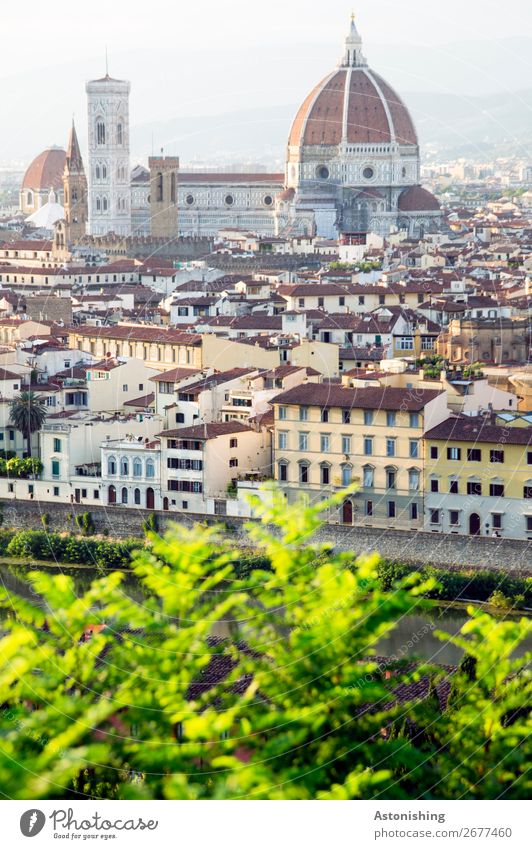 Cathedral of Florence Environment Nature Landscape Sky Horizon Plant Leaf Hill Italy Town Downtown Old town House (Residential Structure) Church Dome Tower