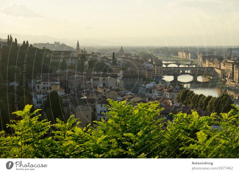 Bridges in the evening light Environment Nature Landscape Sky Horizon Sunrise Sunset Summer Plant Tree Leaf Park Hill River Arno Florence Italy Town Downtown